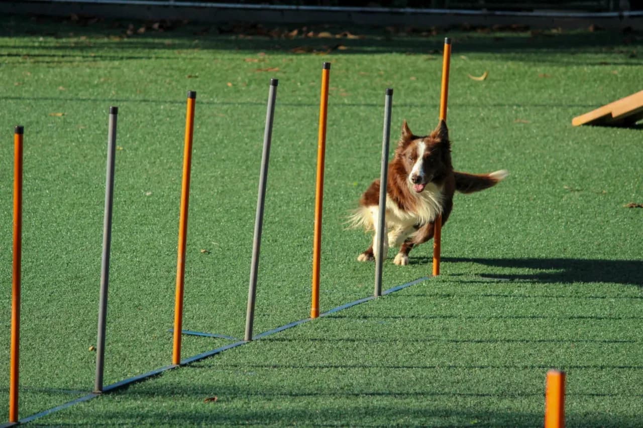 How to Improve Business Agility